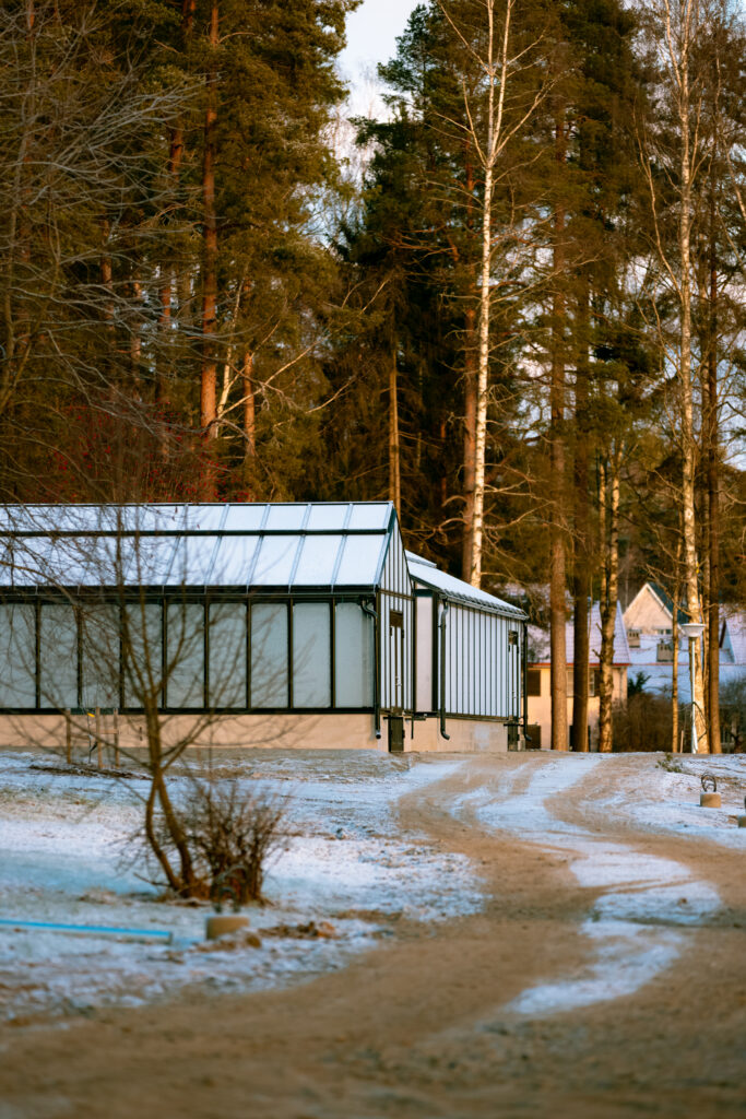 Ett växthus som ser kallt och frostigt ut i eftermiddagsljuset.