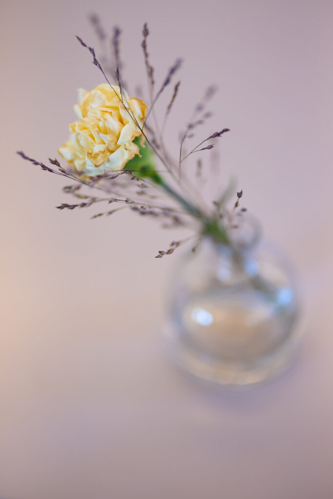 En vitgul blomma i en glasvas mot en lila bakgrund.