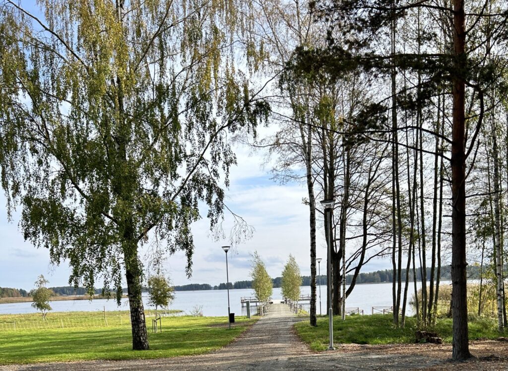 På avstånd syns en brygga i vattnet som omges av olika löv- och barrträd.